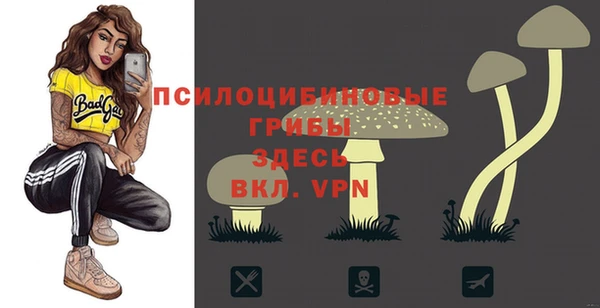 PSILOCYBIN Армянск
