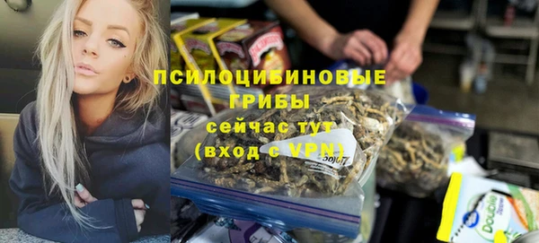 PSILOCYBIN Армянск