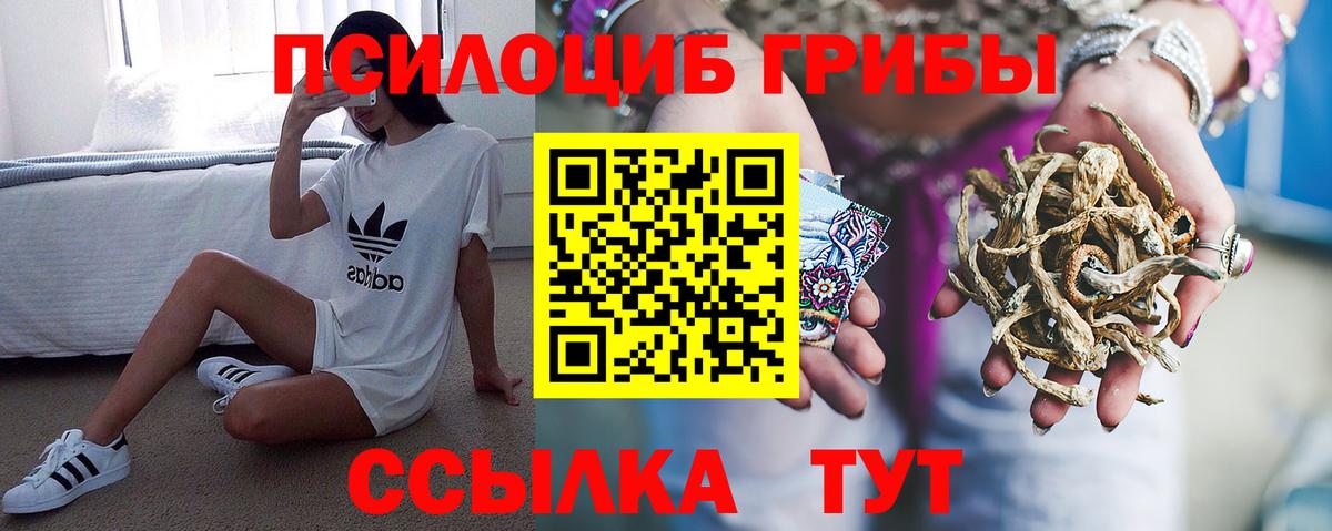 Дедовск  Галлюциногенные грибы Psilocybe  Галлюциногенные грибы Psilocybine cubensis  Вход с VPN 